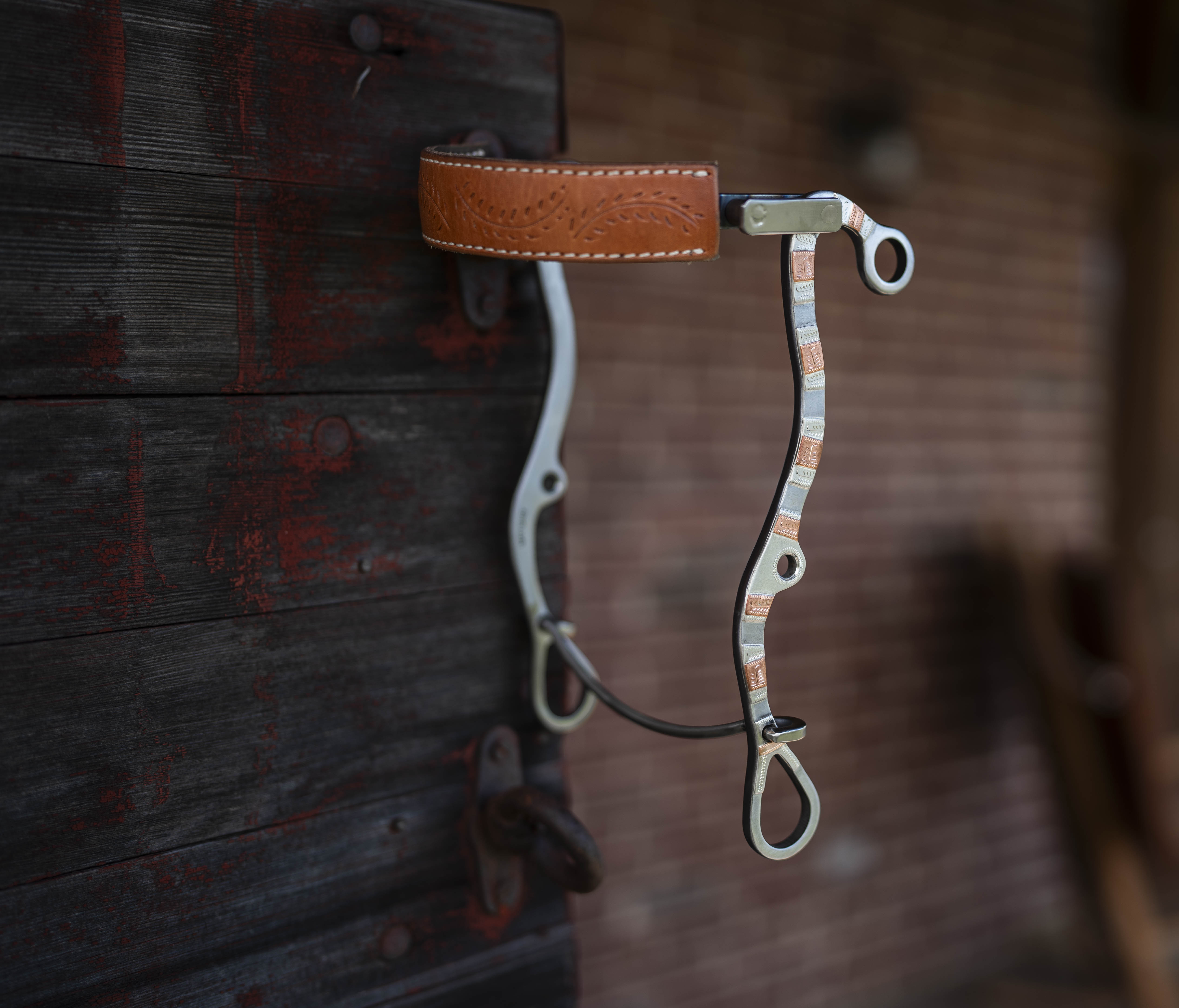 Fancy Hackamore