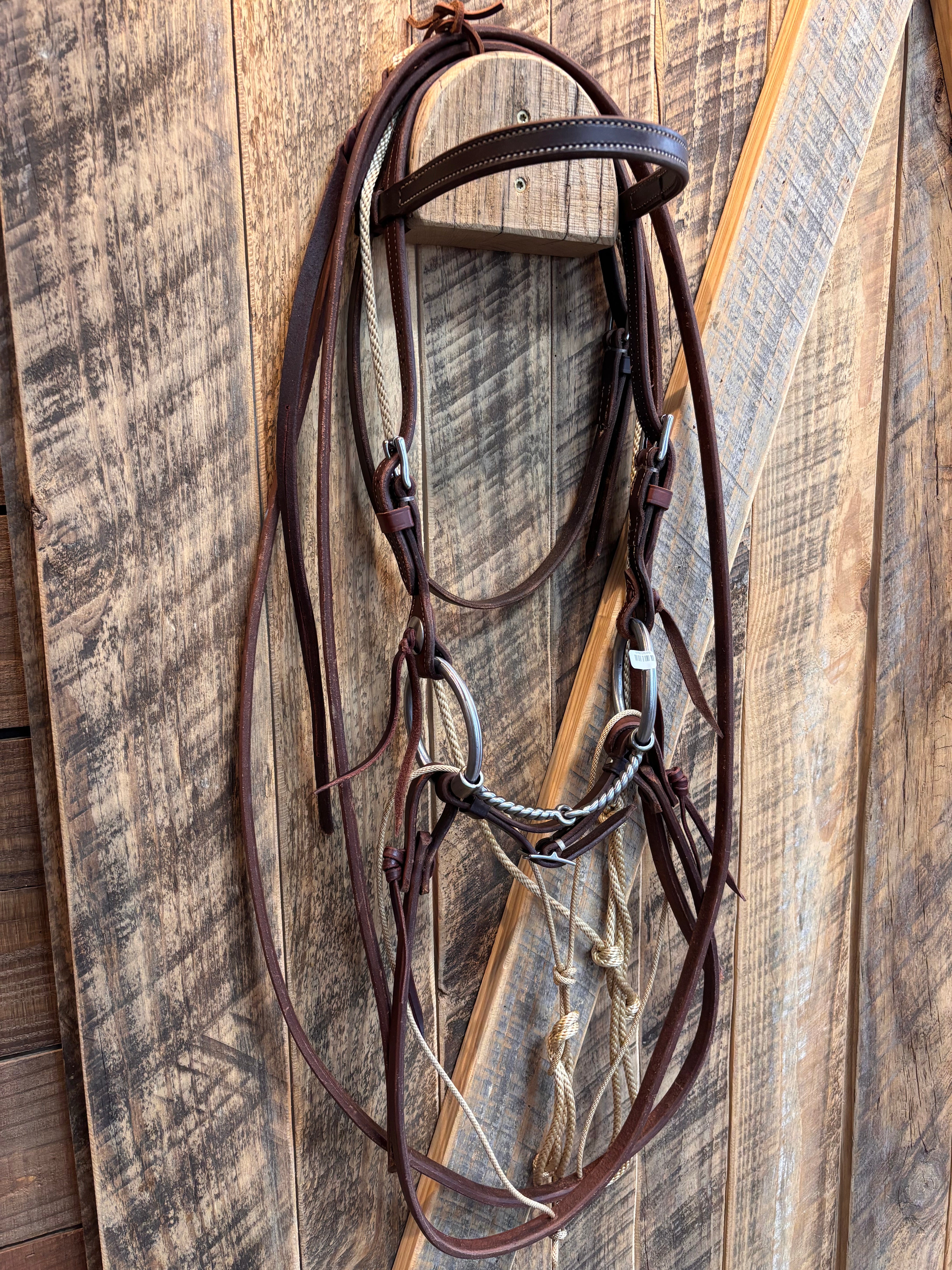 Dennis Moreland German Martingale rigged w/ KK O-Ring Twisted Wire Snaffle