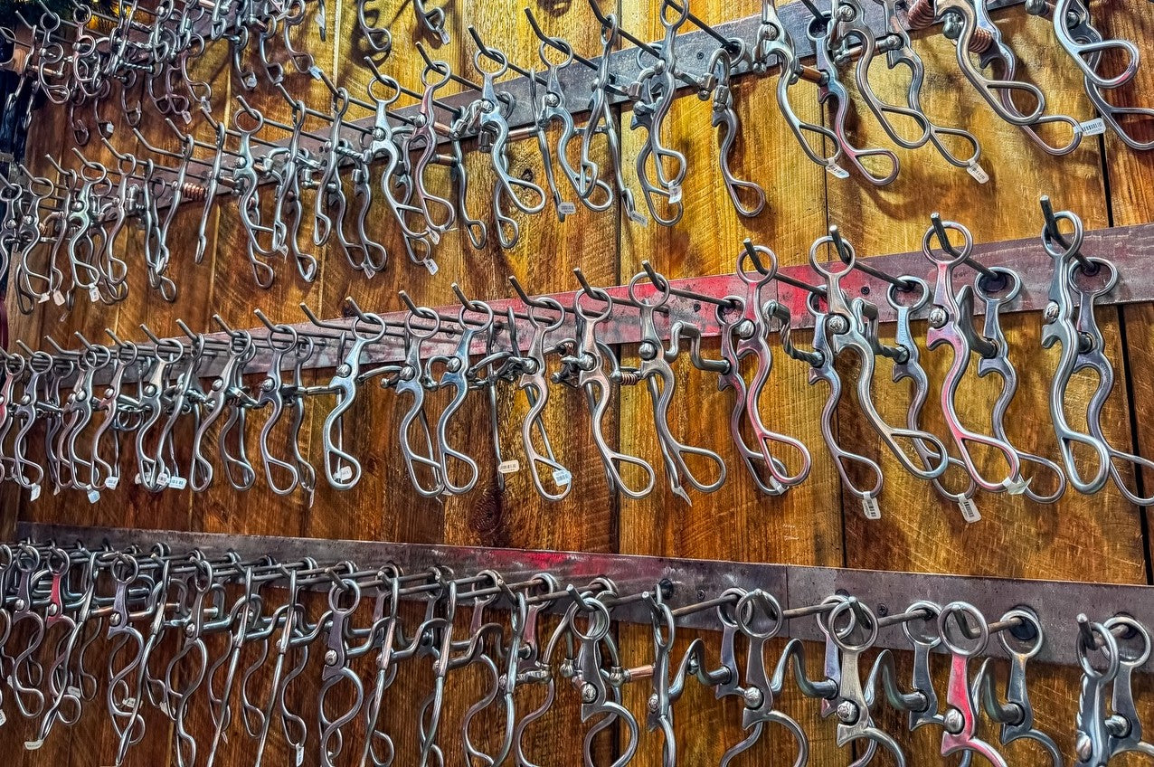 Cow Horse Bits