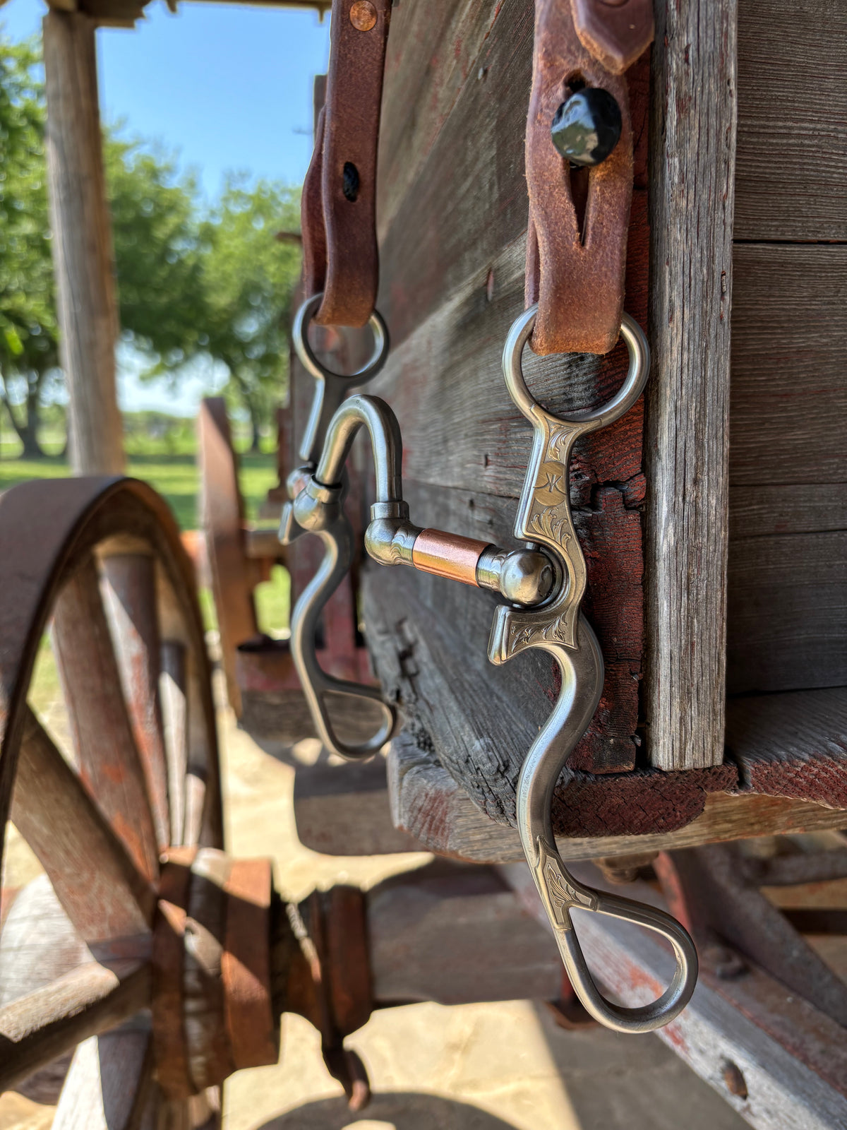 ケンティッシュロッキー  ロイヤルアダレイ ケンティッシュロッキー ロイヤルアダレイ