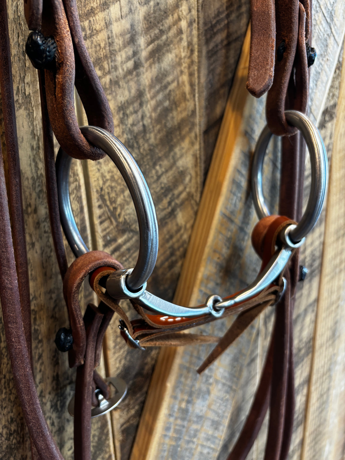 Cheaney Browband and Split Reins Rigged up w/ KK Loose O-Ring