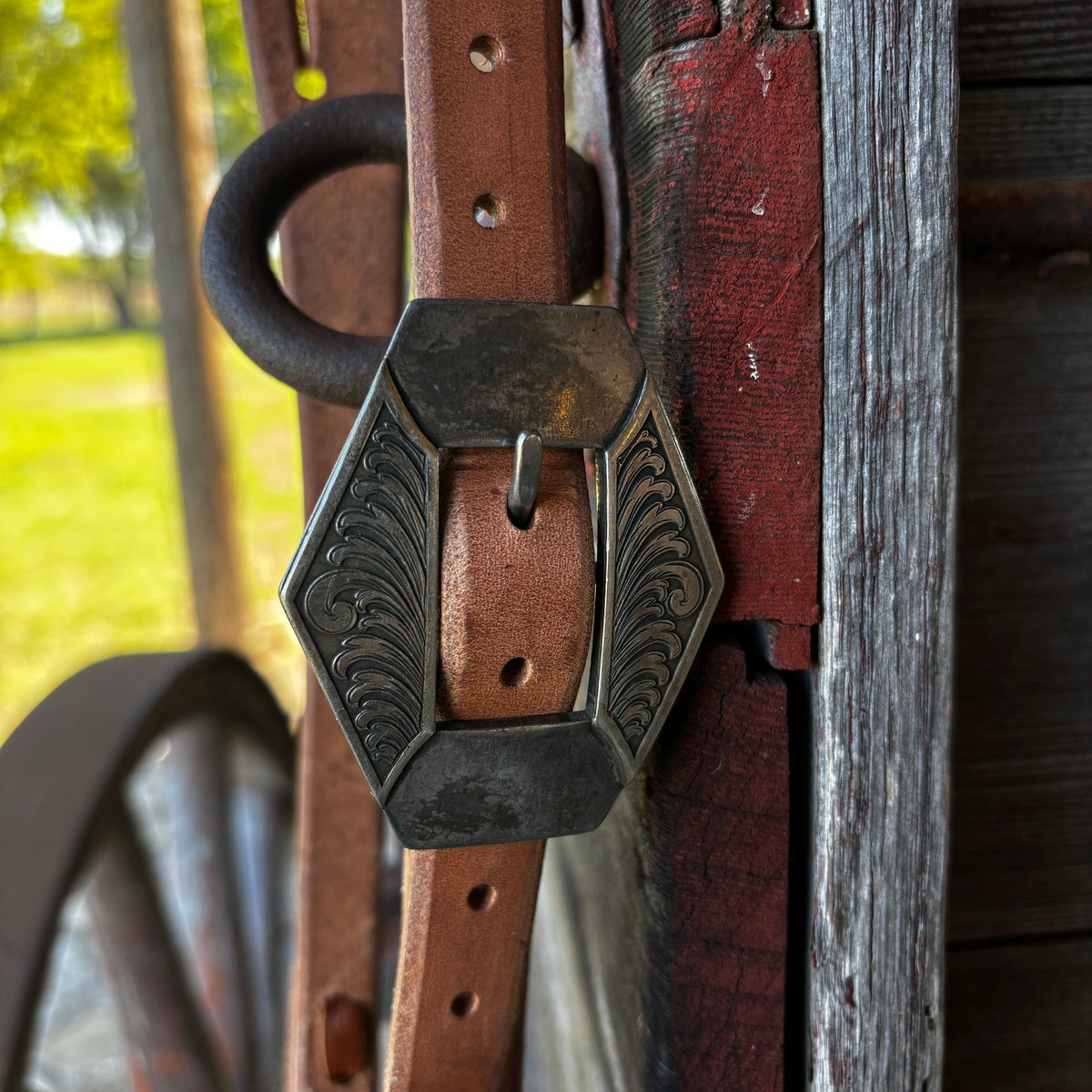 CL Split Ear w/ Diamond Buckle - Scroll Engraving
