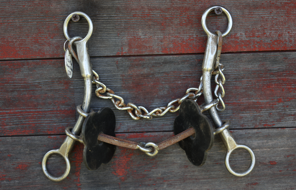 Used Fixed Glider Square Snaffle