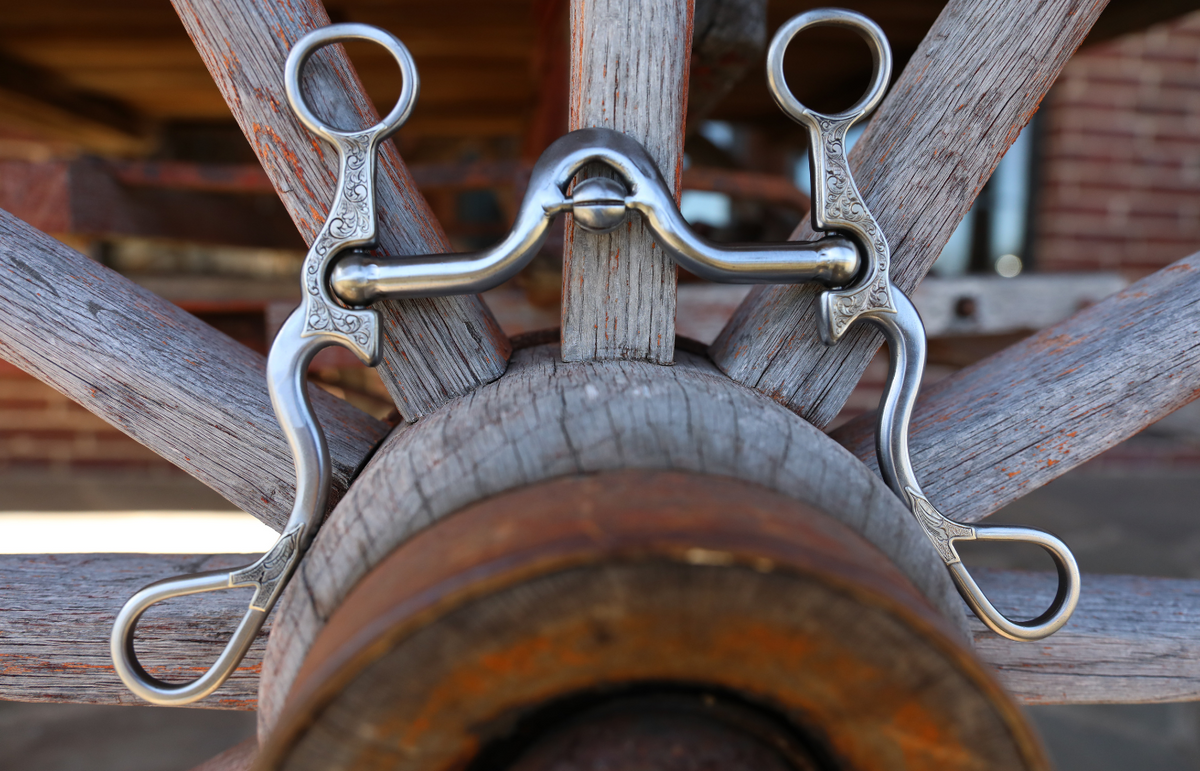 Fancy Shanks – Kerry Kelley Bits & Spurs