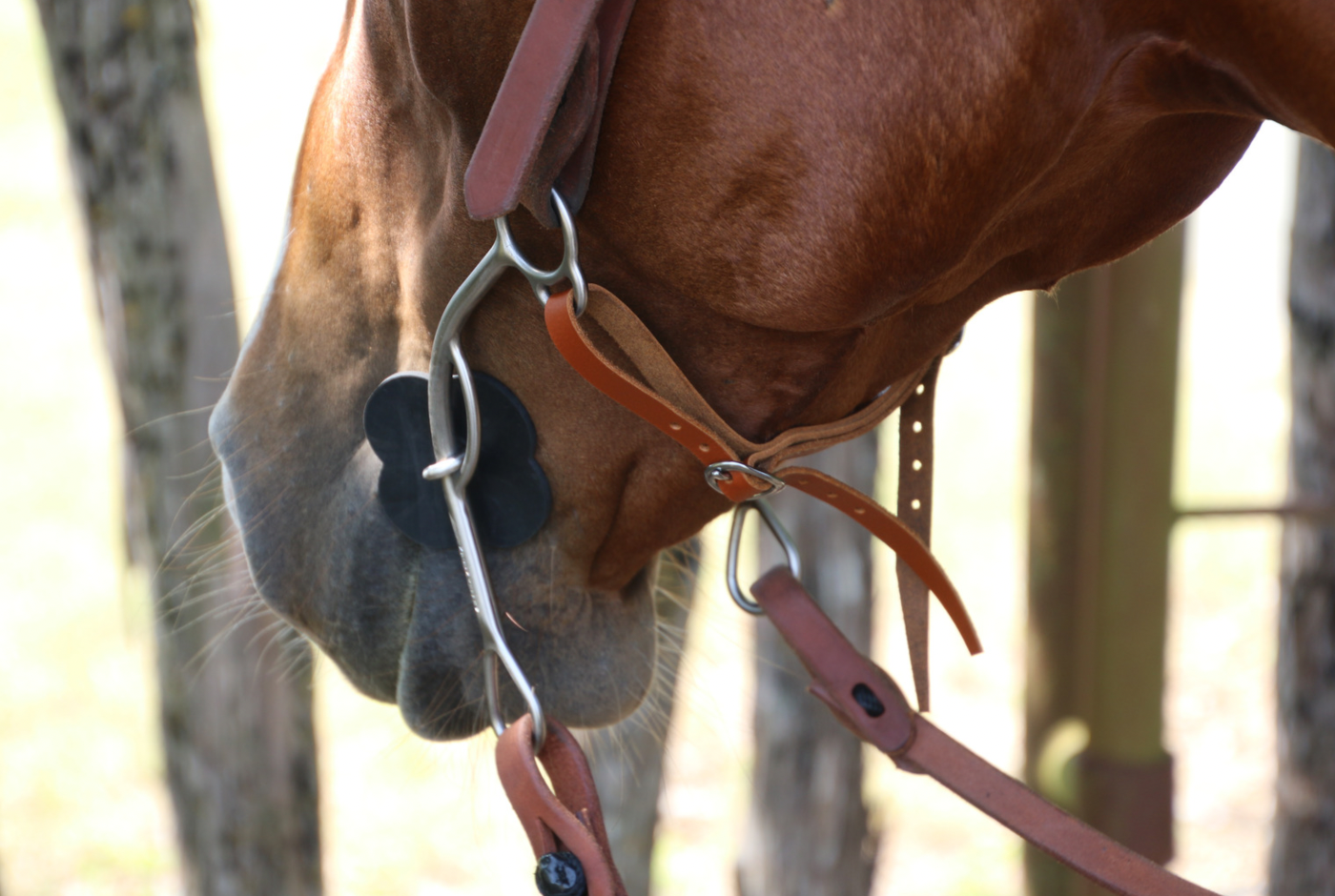 Long Leather Curb – Kerry Kelley Bits & Spurs